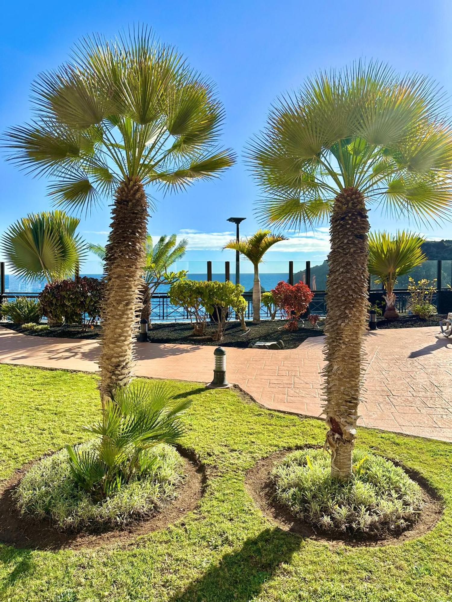 El Nautico Apartment San Miguel de Abona Exterior foto